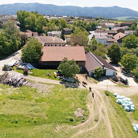 Ferienhof Schuetz Eschlkam Kültér fotó