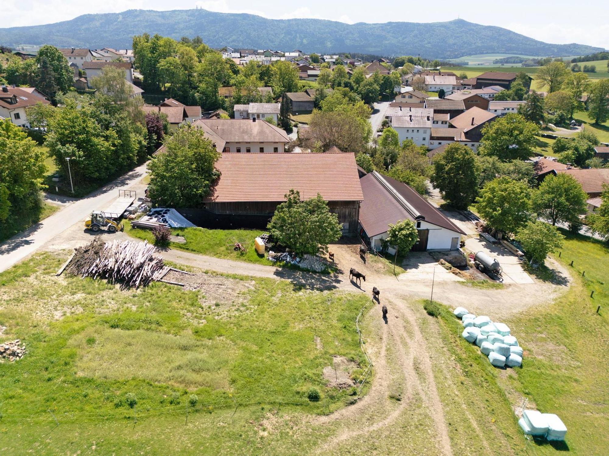 Ferienhof Schuetz Eschlkam Kültér fotó